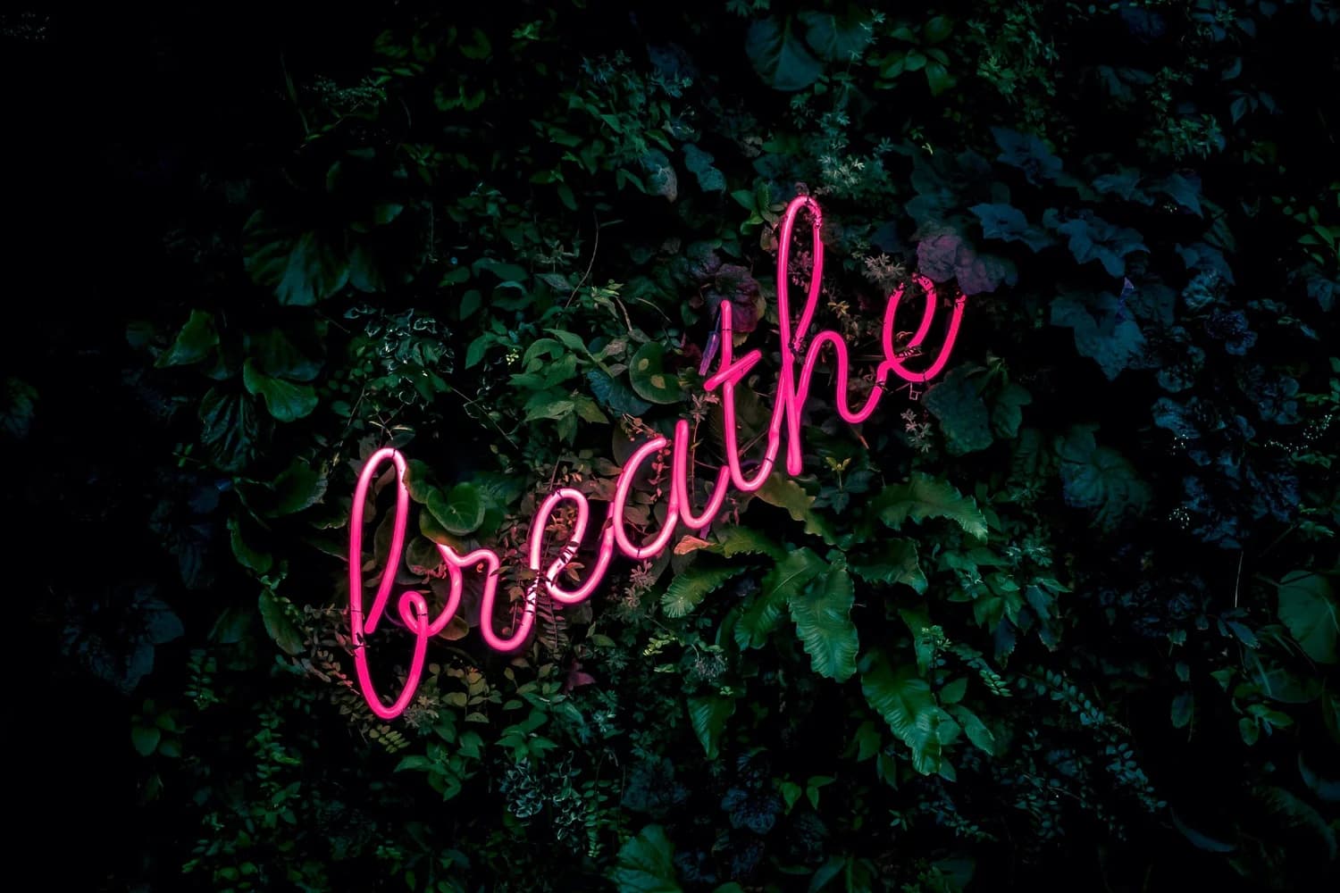 Photo by Fabian Møller on Unsplash